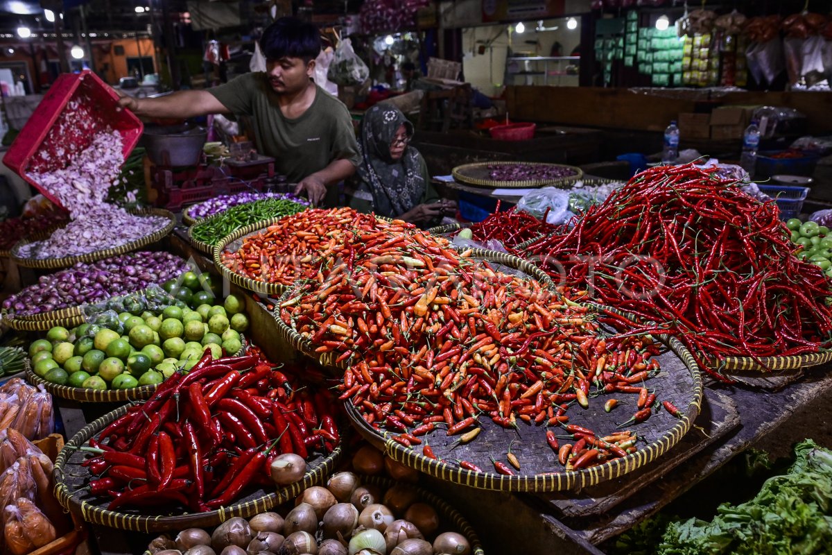 BPS Catat Deflasi Mei 2025: Ekonomi Indonesia Menguat