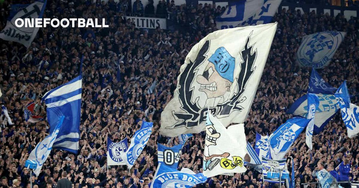 Gänsehaut-Choreo: Schalke Fans Begeistern