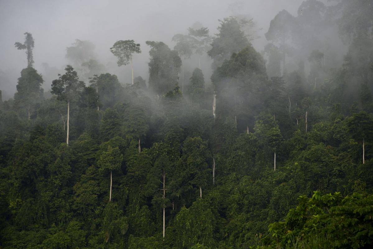Kekayaan Asia: Strategi Baru Untuk SDGs