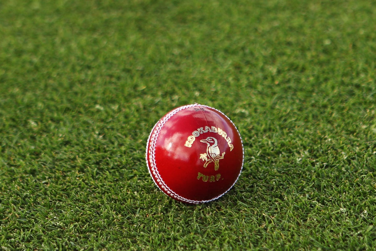 Live Updates: Bangladesh Vs Zimbabwe