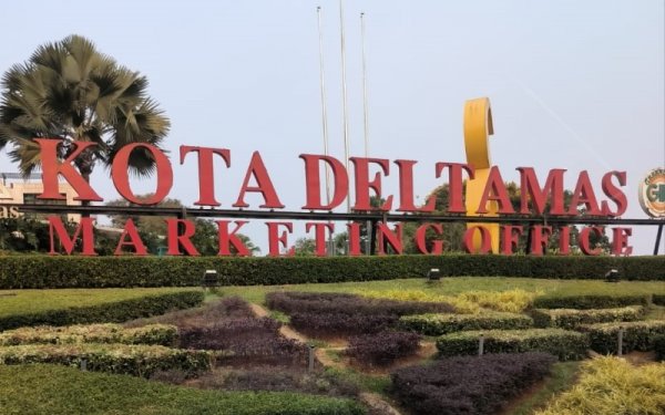 Saham DMAS Meroket: Dividen Mendongkrak Harga?