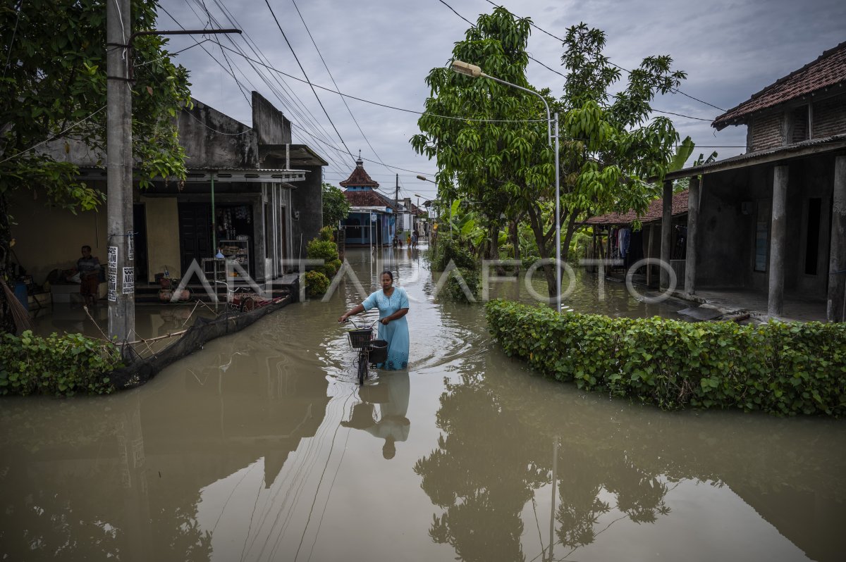 Tanggul Sungai Tuntang Jebol, Demak Terendam Banjir